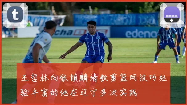 王哲林向张镇麟请教剪篮网技巧经验丰富的他在辽宁多次实践
