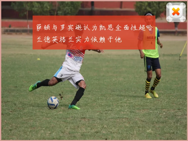 萨顿与罗宾逊认为凯恩全面性超哈兰德英格兰实力依赖于他